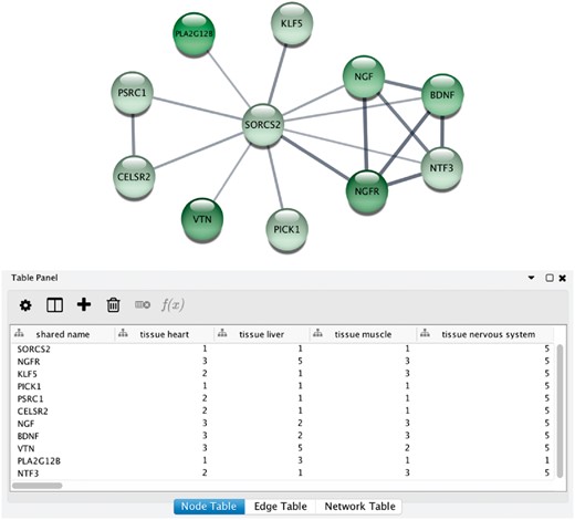 STRING app in Cytoscape with tissue information. (A) The newly developed stringApp for Cytoscape allows users to get all the STRING functionality within Cytoscape and allows expression evidence from TISSUES to be visualized onto the network (in this example for liver). (B) The stringApp also shows the evidence score for each of the major tissues in the node attributes table.