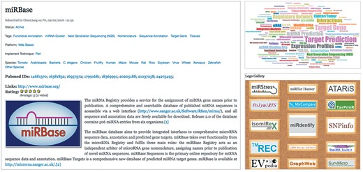 Screenshots of other important pages in miRToolsGallery. The left sub-image is an example of introduction of tools. Every tool in the database has the same information display structure based on Table 1. The top right panel shows a word cloud to illustrate the popular features of tools in the database. The bottom right panel shows the Logo Gallery which is a random list of tools with their logos in the database.