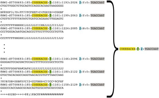 Representation of FASTQ file content by FASTQ signature. FASTQ signature is constructed using read name parts that are common for multiple reads within a single FASTQ file. Read name parts that are used for signature construction are color coded in the figure: flowcell identifier (yellow), flowcell lane number (green), read 1 or read 2 (turquoise) and index sequence (grey). Our condensation approach allows representation of multiple reads in FASTQ file by a single FASTQ signature, as it is exemplified in the figure.