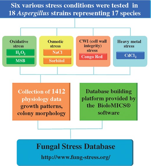 Workflow of the construction of the FSD.