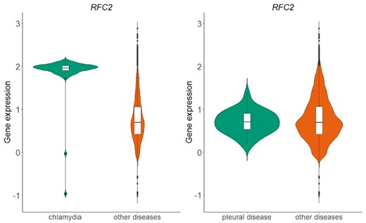 Violin plots of RFC2 gene expression in chlamydia samples vs. all other samples in GPL570 array (left plot) and in pleural disease samples vs. all other samples in GPL570 array (right plot). P-value in the chlamydia case is almost zero, meaning that the distributions (green vs. orange) differ statistically significantly, whereas in the pleural disease case, the combined p-value of the two statistical tests (skewness, kurtosis) was 0.82 and thus the null hypothesis that the shapes of the two distributions are similar could not be rejected.