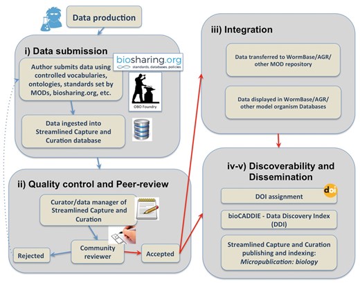Summary of the data submission process and validation pipeline.