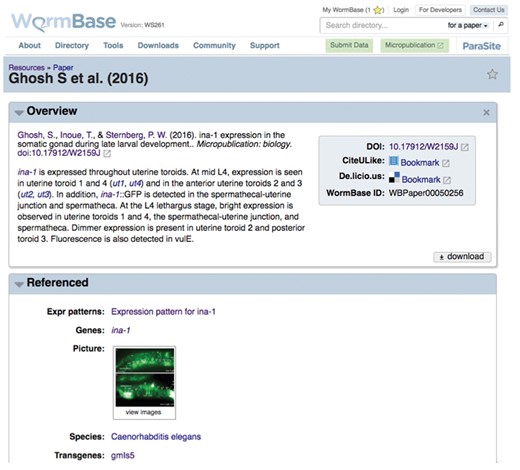 WormBase view of a gene expression micropublication available at www.wormbase.org. http://wormbase.org/resources/paper/WBPaper00050256#03–10.