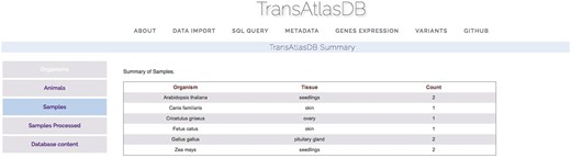 Various summary tables displaying database content in the About page.