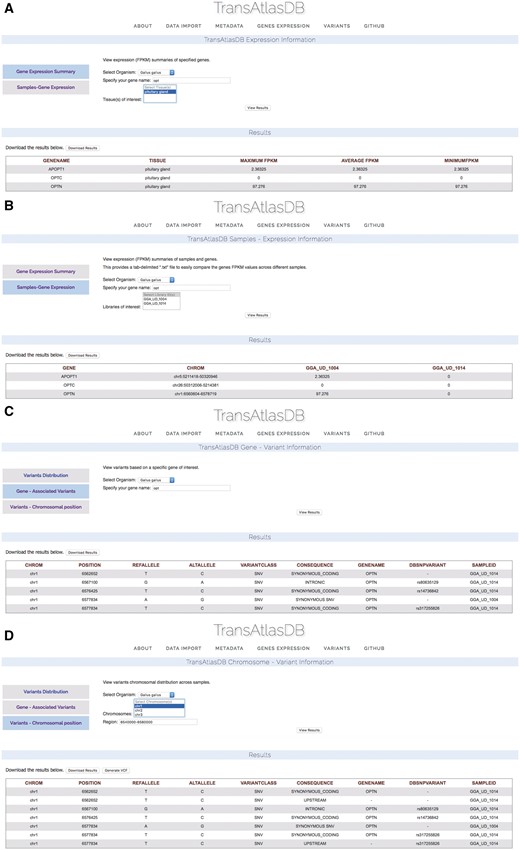 Use Cases via the web interface. (A) Genes summary expression levels across all samples. (B) Genes fpkm expression level for each sample. (C) Variants found in the OPTN gene. (D) Variants found around the chromosomal region of the OPTN gene.