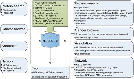 Overview of database construction. Query methods and corresponding output information are demonstrated.
