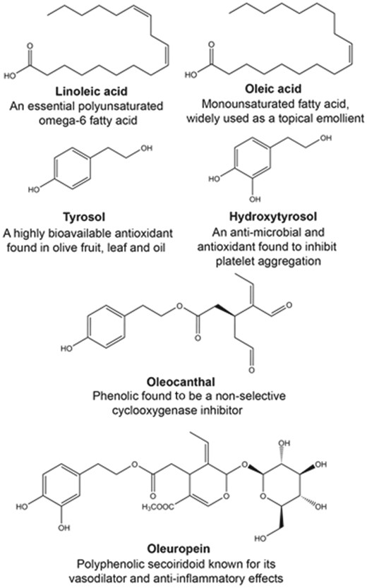 Chemical structures and key feature of widely investigated fatty acids (oleic and linoleic acids), and phenolic compounds (tyrosol, hydroxytyrosol, oleocanthal, and oleuropein) from Olea europaea.