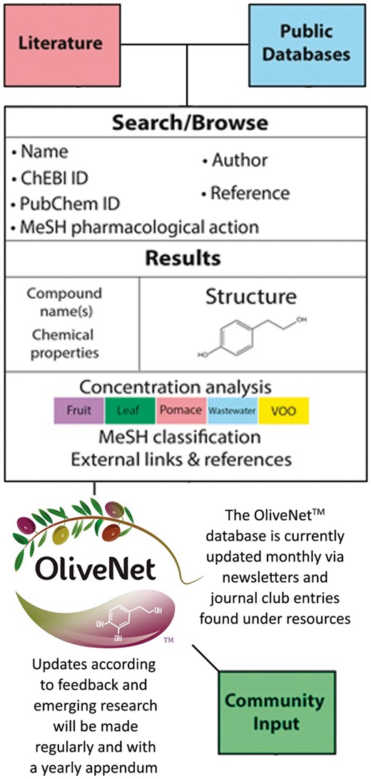 Integration of structure and composition of the OliveNet™ database. Compounds were identified from a comprehensive review of 181 scientific publications and compound information was obtained from public databases (PubChem, HMDB and ChEBI). Together with the chemical structure and basic chemical analyses, MeSH terms are provided where available. Concentrations of each compound in fruit, leaf, pomace, wastewater, VOO are indicated where available. Known biological effects and pharmacological activity of the compounds are included with references. As further relevant research emerges, we can easily update compounds and biological activities via community input.