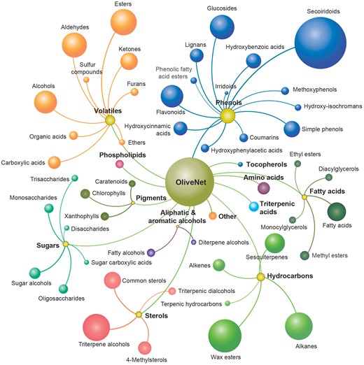 The OliveNet™ database consists of a total of 676 individual compounds categorized into 13 classes (bold and colour coordinated) and 47 subclasses (size of ball reflects the number of compounds in each subclass).
