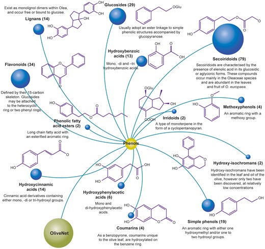 The OliveNet™ database consists of 222 individual phenolic compounds divided into 13 subclasses. The number of individual compounds in each subclass, representative chemical structures, and relevant key information are shown.