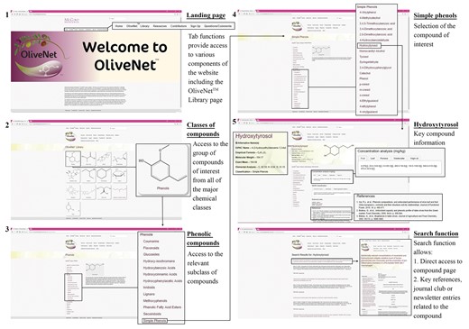 Screenshots from the OliveNet™ database. An example of navigation from the OliveNet™ Library homepage, to the phenolic compound landing page, and ultimately to an individual phenolic compound page (in this example, hydroxytyrosol), is shown. The direct search function is also highlighted 