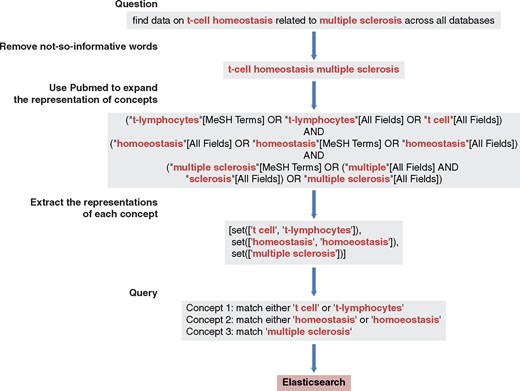 Query interpretation: from a free-text question to a query. Uninformative words were removed using a rule-based method. The query expansion used the same method as PubMed does, relying on NCBI E-utilities.