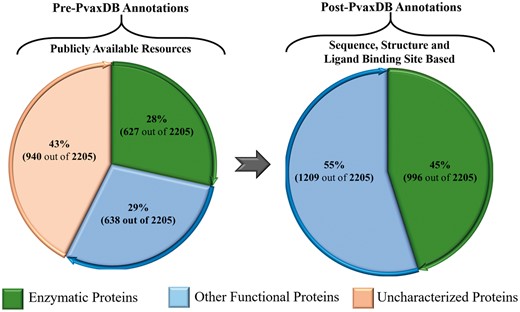 A depiction of functional characterization of P. vivax proteome. The left panel shows functional annotation of P. vivax proteome presently available through various public resources. The right panel shows functional annotations carried out in PvaxDB based on sequence, structural and ligand binding site information-based functional annotation.