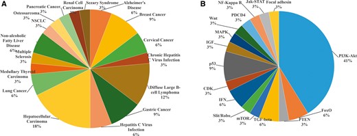 MicroRNA-21 associated pathophysiological conditions (A) and pathways (B).