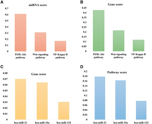 Top 3 pathways with highest miRNA scores (A) and gene scores (B); and top 3 miRNAs with highest gene scores (C) and pathway scores (D).
