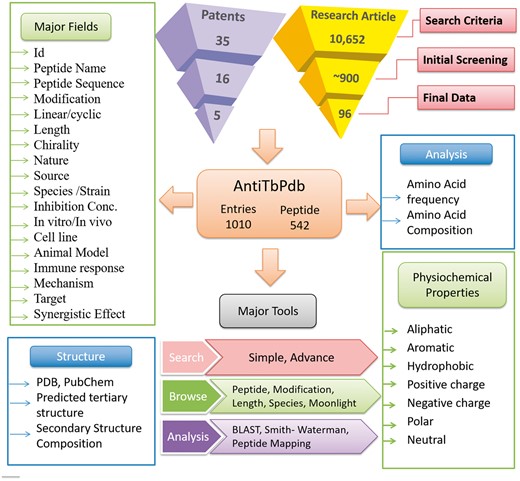 A schematic representation of information organization in AntiTbPdb.