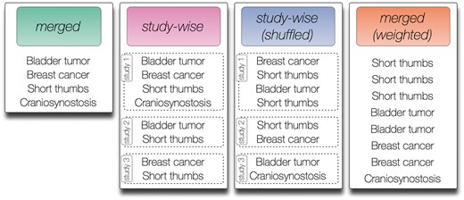 Contrived symptom annotation set for one disease under the different annotation models tested in this study. In the ‘merged’ model every symptom is listed exactly once and no further structure is given. In the ‘study-wise’ model, the symptoms associated with the disease are organized by three studies that mention the symptoms. Note that each symptom may be mentioned in multiple studies. In the shuffled version of the ‘study-wise’ model, each symptom from a study is randomly switched with a symptom from another study. Finally, the ‘merged (weighted)’ model removes the structure defined by the studies but keeps the number of mentions for each symptom as derived from the ‘study-wise’ model.