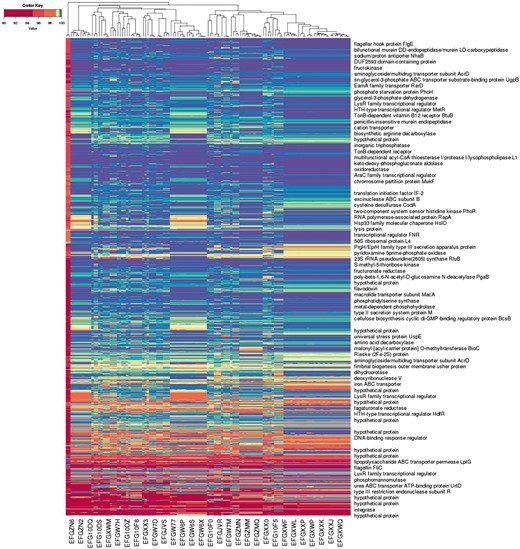 Alignment-based spectra of 1 055 875 oligo probes, and co-spectra of the 122 unfinished bacterial strain genome assemblies that the probes were aligned against. Each row depicts the average spectrum of a cluster of probes, with row labels based on annotation of a representative probe from the cluster; each column depicts the co-spectrum of a bacterial assembly. (Only some rows and columns are labelled.)