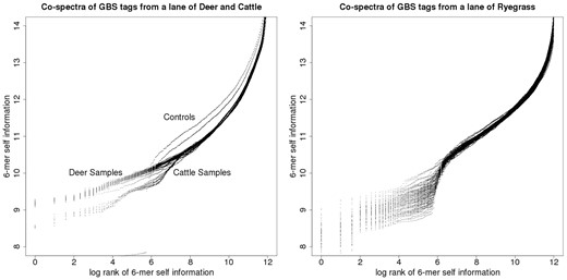 GBS tag-derived co-spectrum matrices from two sequencing lanes, the lane on the left nominally cattle, the lane on the right ryegrass.