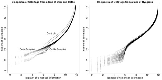 GBS tag-derived co-spectrum matrices from two sequencing lanes, the lane on the left nominally cattle, the lane on the right ryegrass.