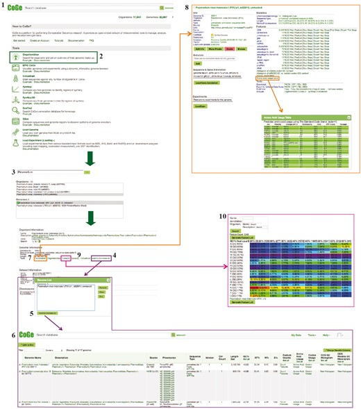Example Workflow 1. The displayed numbers match the steps indicated in the workflow section of the text. Colors represent the different tools used in the example Workflow 1: GenomeInfo (orange), CodeOn (pink) and GenomeList (purple). Links to regenerate these screen captures are provided within the step-by-step instructions found in the text.