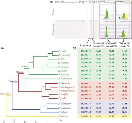 Genomic features across sequenced Plasmodium species from four different clades. (a) screen capture of GenomeList analysis (https://genomevolution.org/r/ts41) showing statistics on two genomes including histograms of CDS GC content and third nucleotide position GC content; (b) cladogram of Plasmodium species with colors demarking different clades: simian clade (green), rodent clade (red), subgenus Laverania (blue) and bird/reptile clade (yellow) and (c) table of genomic features for each Plasmodium species. Links to regenerate these analyses are in Supplementary File S2.