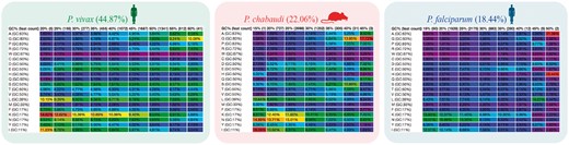 Amino acid usage table binned by the GC content of each CDS. CodeOn results for three Plasmodium species are shown: P. vivax (green; https://genomevolution.org/coge/CodeOn.pl?dsgid=32811), Plasmodium chabaudi (red; https://genomevolution.org/coge/CodeOn.pl?dsgid=32902) and P. falciparum (blue; https://genomevolution.org/coge/CodeOn.pl?dsgid=19306). Color-code indicates percent usage compared with all cells in the table (purple < blue < green < yellow < orange < red) Links to obtain amino acid usage values for each species are in Supplementary File S2.