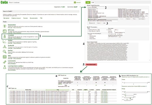 CoGeBLAST section of example Workflow 3. The displayed numbers match the steps indicated in the workflow section of the text. Screen capture of results from CoGeBLAST analysis: (a) HSP table; (b) genomic HSP visualization and (c) details of hits obtained for each evaluated species. Links to regenerate these screen captures are provided within the step-by-step instructions found in the text.