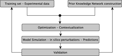 The sysVASC dynamical model of atherosclerotic plaque formation flow chart. The sysVASC consortium attempts to elucidate pathological mechanisms involved in the onset and progression of cardivascular disease and to identify and validate novel biology-driven key molecular targets for therapeutic intervention by in silico simulation of the main driving biological processes. Among those processes, the formation of atherosclerotic plaque plays a central role. In this work, we use in silico simulation of a dynamical model based on an expert curated PKN, to optimize the model and to generate testable predictions for further validation. Such predictions are used to iteratively improve the model.