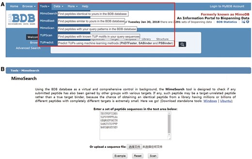 BDB-powered tools. (A) Seven tools surrounded by a red box, i.e. MimoSearch, MimoBlast, MimoScan, TUPScan, PhD7Faster, SABinder and PSBinder, can be accessible by clicking the secondary menu items from the ‘Tools’ drop-down menu. (B) We take MimoSearch as an example to show the utilization of these tools. Users can enter a set of peptide sequences in the text area or upload a sequence file. After submission, the result will be returned and displayed in a table.