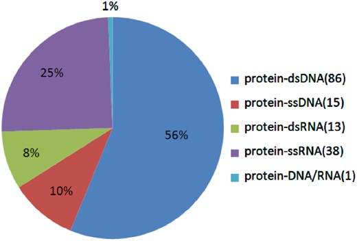 The proportions of the different kinds of protein–NA complexes in the database.
