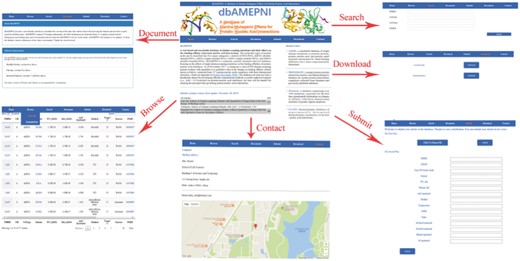 The different interfaces of our website.