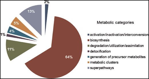 SolanaCyc pathway breakdown into metabolic categories.