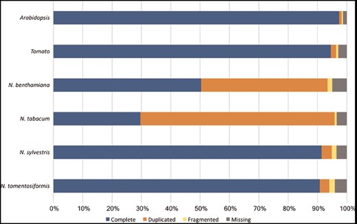 Assessment of the Nicotiana genome completeness. The percentages of the 1440 embryophyta single-copy orthologs identified in  one complete copy (Complete), more than one complete copy (Duplicated), partially (Fragmented) or not identified (Missing) are shown.
