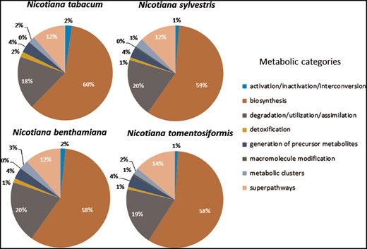 Distribution of predicted pathways across the various compound classes in the Cyc's for Nicotiana tabacum, Nicotiana sylvestris, Nicotiana benthamiana, and Nicotiana tomentosiformis.