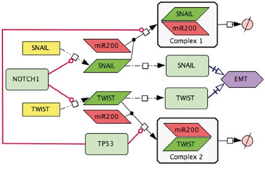 Transforming text to diagram: role of p53 and NOTCH in induction of EMT. The following statements were used for diagram construction: (1). Control of EMT program is performed by SNAIL and TWIST, the major transcription factors that can induce the executors EMT program (49). These transcription factors are under the control of several upstream mechanisms. (2) SNAIL and TWIST are inhibited by the p53 protein via a variety of microRNAs, including miR200 (50) (3) miR20 binds to the mRNAs of SNAIL and TWIST and triggers their degradation, this way preventing the translation of mRNAs into the corresponding proteins (51) (4) EMT program can be initiated due to excessive expression of NOTCH that directly activates transcription of SNAIL and TWIST (52).