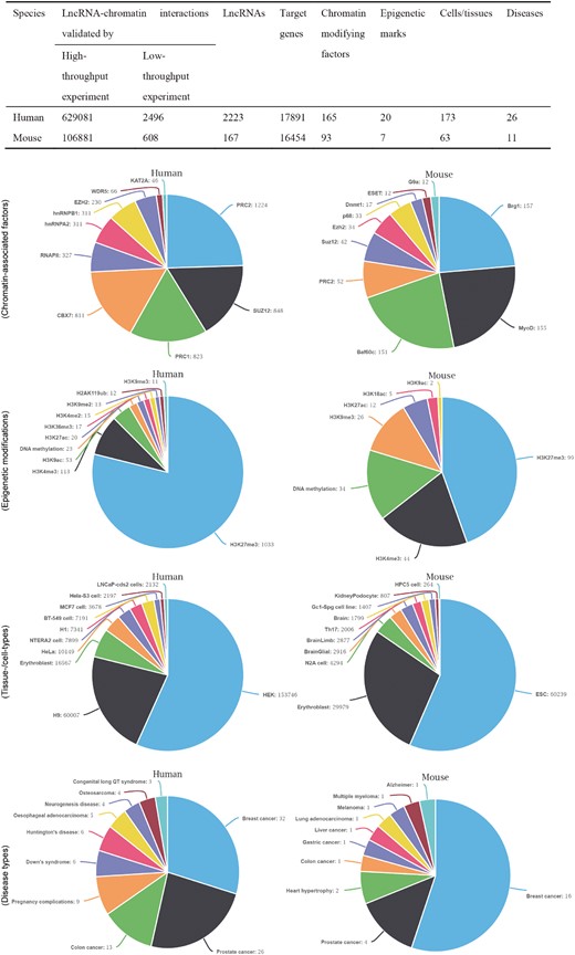 The statistics of lncRNA–chromatin interactions. The table shows the basic statistics of lncRNA–chromatin interactions. The pie chart shows the distribution of interactions based on cell/tissue types, disease types, chromatin-associated factors and epigenetic modifications. For each chart, the top 10 groups of interactions are shown.