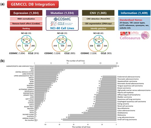 Overview of GEMiCCL database. (a) Data types and statistics according to source databases. Numbers in the parenthesis and the Venn diagram indicate the number of cell lines with relevant information. Gene expression and copy number data were reprocessed with our own pipelines as summarized. (b) Distribution of cell lines across 29 tissue types and top 20 cancer types.