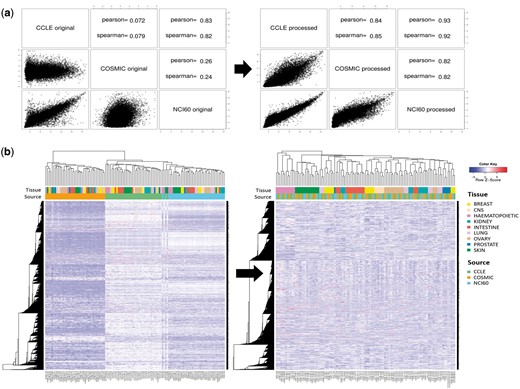 Batch effect in gene expression data. (a) Correlation plots and coefficients for gene expression data of A-549 cell line from three different resources. Left and right figures were obtained before and after removing batch effect with ComBat program. (b) Hierarchical clustering of gene expression data for 38 cell lines before and after removing batch effect. Pearson correlation coefficient and complete linkage were used in clustering.