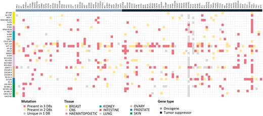 Mutational landscape of 125 driver genes defined by Vogelstein in 36 cell lines. Mutated genes were colored according to overlap in database sources. We omitted 16 genes with no mutations in our cell lines.