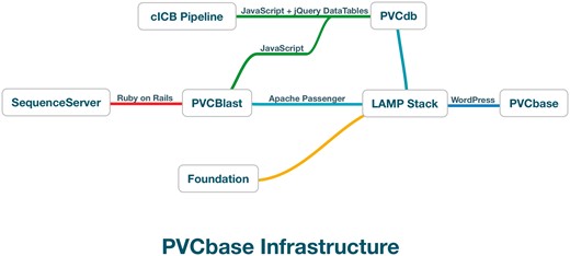 PVCbase organization and relationship between services.