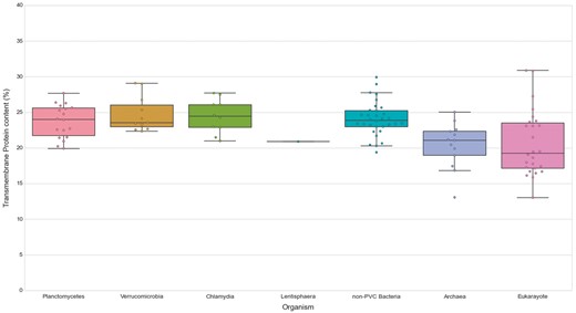 Transmembrane proteins in PVC and representative species from the tree of life. The numbers of TMHs containing proteins, expressed as percentages of the proteomes. Box plots reflect the distribution of the data. The box encloses the quartiles of the dataset, while the whiskers extend to the limits of the distributions. Outliers are determined based on the interquartile range and are not included in the boxes. The middle horizontal line in the box marks the median of the distribution.