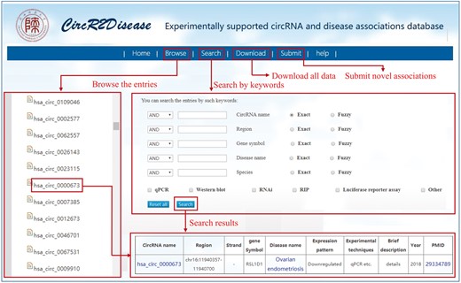 A schematic workflow of CircR2Disease.
