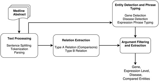 System pipeline overview.