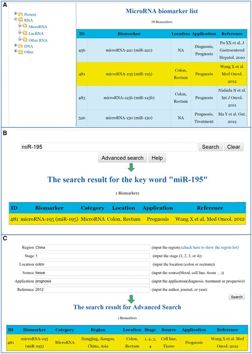 Search strategies for the CBD. (A) List search. (B) Key word search. (C) Advanced search.