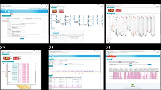 Interface of the comparative genomic viewer exploring orthologous genes between tomato and pepper genomes. (A) Search box for target genes. (B) Whole-genome viewer. (C) Chromosome comparison viewer (D) and more detailed viewer. (E) Synteny block viewer. (F) SNP database for development of markers for candidate orthologous genes.