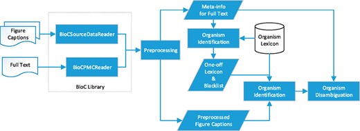 Workflow of SPRENO.