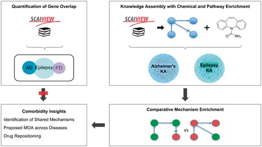 A graphical abstract of the methodology, analysis, and results presented in this work. The two upper boxes represent the methodology while the two lower boxes represent the analysis and results. The upper-left box outlines the quantification of gene overlap between epilepsy and its well-known comorbidities described in Keezer et al. (23; e.g. AD, PD, etc.) using literature based methods. The upper-right box outlines the assembly of knowledge from epilepsy literature with chemical and pathway enrichment as described in the ‘Preparation for Mechanism Enrichment’ and ‘Relation Extraction’ Sections. The lower-right box represents the comparative mechanism enrichment that was used to generate comorbidity insights (lower-left box) after literature-based methods proved insufficient.
