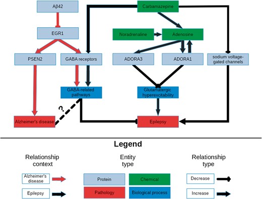 A schematic representation of the knowledge surrounding carbamazepine retrieved by querying its targets with NeuroMMSig. The relevant portions of the most significantly enriched graphs in the context of epilepsy and AD, the adenosine signaling and the GABA sub-graphs, were merged and displayed in order to highlight a potential explanatory mechanism for the therapeutic effects of carbamazepine (Supplementary Text S2). It is rendered with a hierarchical layout to mirror the flow from molecular entities to proteins, biological processes and pathologies.