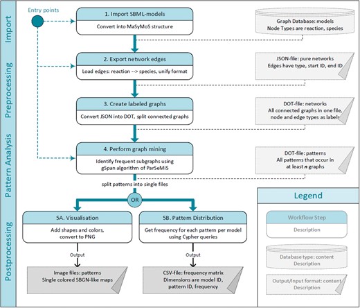 Pattern identification workflow. Numbered, oval boxes describe workflow steps. Rectangular boxes describe data produced by each step and taken as an input for the following step. Starting at multiple entry points is possible depending on the available data and format. The first step is to import models into the MaSyMoS graph database. From there the reaction networks are extracted and converted to a uniform structure. The converted reaction networks are used as an input for the subgraph mining step to identify patterns. Subsequently, two options to further process the pattern descriptions are available. On the one hand, images representing the patterns can be generated (output on the bottom left). On the other hand, patterns can be fed back to the database to create a feature matrix showing the distribution of identified patterns among the models (output on the bottom right).